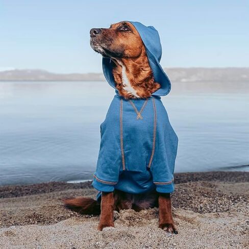 Blueberry Pet Essentials 2023 New Soft & Comfy Better Basic Cotton Blend Dog Hoodie Sweatshirt in Coral, Back Length 20", Pack of 1 Jacket for Dogs in Saudi Arabia