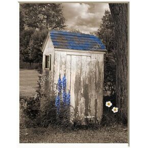 Farmhouse Bathroom Wall Art Vintage Blue Outsouse Wildflowers Photography Photo Wall Art Picture (Outsouse) in Kuwait