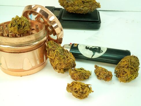 Fake Weed Nuggs Joke Gift Artificial Marijuana Cannabis Plants (1/2 oz.) in Saudi Arabia