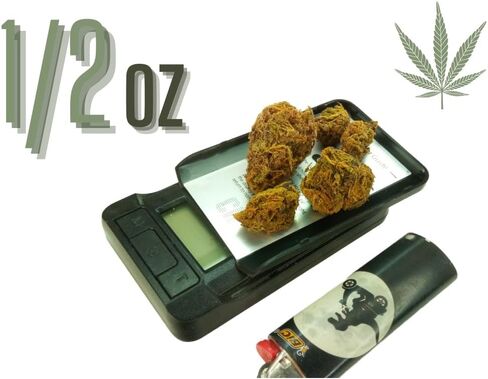Fake Weed Nuggs Joke Gift Artificial Marijuana Cannabis Plants (1/2 oz.) in Saudi Arabia