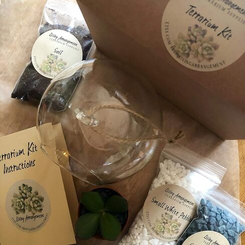 Complete DIY Terrarium Kit by Living Arrangement in Saudi Arabia