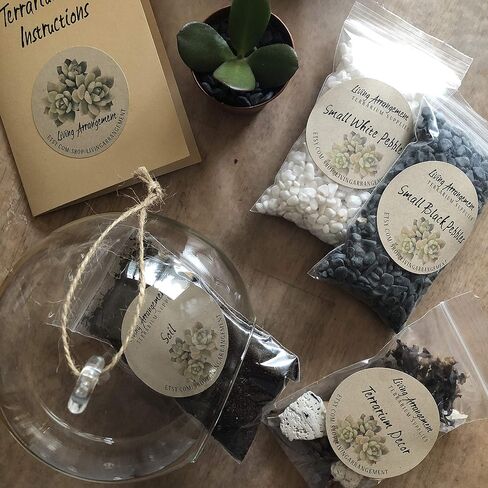 Complete DIY Terrarium Kit by Living Arrangement in Saudi Arabia
