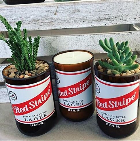 Red Stripe 11 oz Glass Bottle Succulent & Cactus Planter in Saudi Arabia