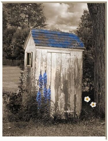 Farmhouse Bathroom Wall Art Vintage Blue Outsouse Wildflowers Photography Photo Wall Art Picture (Outsouse) in Kuwait