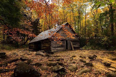 Country Photography Print (Not Framed) Picture of Old Barn Surrounded by Fall Foliage on Autumn Day in Great Smoky Mountains Tennessee Rustic Wall Art Cabin Lodge Decor (16" x 20") in Saudi Arabia