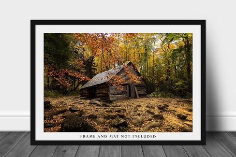 Country Photography Print (Not Framed) Picture of Old Barn Surrounded by Fall Foliage on Autumn Day in Great Smoky Mountains Tennessee Rustic Wall Art Cabin Lodge Decor (16" x 20") in Saudi Arabia