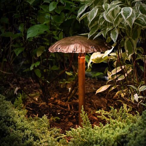 Copper Metal LED Landscape Light with One Large Mushroom Cap in Saudi Arabia