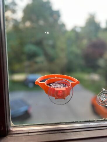 Bird Feeder Window Suction Cup Holder for Seeds Jelly or Avian Food Outdoor Rated with ASA Filament 3D Printed in Saudi Arabia