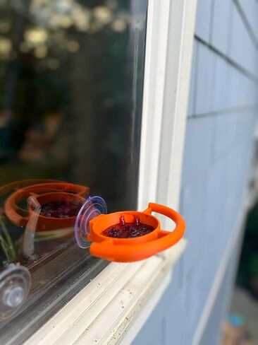Bird Feeder Window Suction Cup Holder for Seeds Jelly or Avian Food Outdoor Rated with ASA Filament 3D Printed in Saudi Arabia