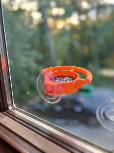 Bird Feeder Window Suction Cup Holder for Seeds Jelly or Avian Food Outdoor Rated with ASA Filament 3D Printed in Saudi Arabia