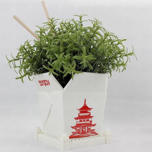 3D Printed Planter Chinese Takeout Box - Set of 3 with (Free) Trays and Chopsticks - Plant Pot with Drainage Decor, Oyster Pail planters Plant - Made in USA in Saudi Arabia