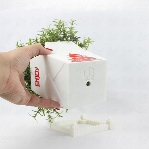 3D Printed Planter Chinese Takeout Box - Set of 3 with (Free) Trays and Chopsticks - Plant Pot with Drainage Decor, Oyster Pail planters Plant - Made in USA in Saudi Arabia