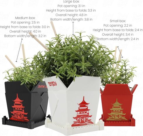 3D Printed Planter Chinese Takeout Box - Set of 3 with (Free) Trays and Chopsticks - Plant Pot with Drainage Decor, Oyster Pail planters Plant - Made in USA in Saudi Arabia