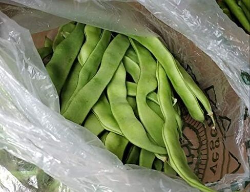 Fresh Turkish Beans - Taze Fasulye 3lb in Saudi Arabia