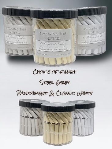 Professional Insults Affirmation Jar - Try Saying This Instead - Fun and Witty Affirmations for Work - Unique Gift for Office Humor (Classic White) in Saudi Arabia