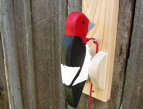 Red-headed woodpecker door knocker in Saudi Arabia