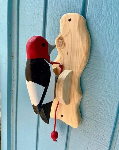 Red-headed woodpecker door knocker in Saudi Arabia
