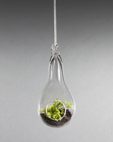 small blown glass hanging terrarium in Saudi Arabia