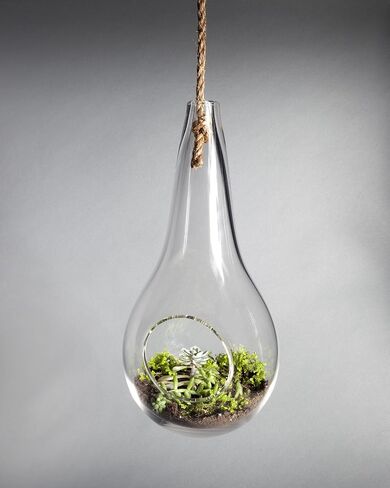 Large Hand-blown glass hanging terrarium in Saudi Arabia