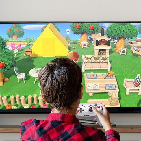 JDDWIN Wireless Controller Compatible With Nintendo Switch/Lite/Oled/Switch Pro Controller,Switch Remote Gamepad with NFC Amiibo,Dual Vibration, Wake -Up And Motion Control Function. Design for The Legend of Zelda: Tears of the Kingdom Edition in Saudi Arabia