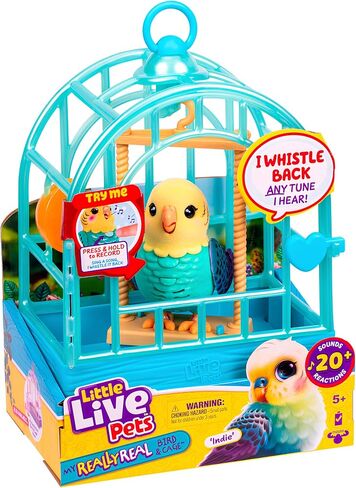 Little Live Pets My Real Talking Bird Toy & Cage - لعبة Indie ، لعبة تكرار الصوت التفاعلية ، أكثر من 20 صوتًا وردود فعل ، ألعاب الحديث للأطفال 5-7 in Saudi Arabia