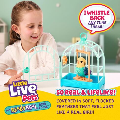 Little Live Pets My Real Talking Bird Toy & Cage - لعبة Indie ، لعبة تكرار الصوت التفاعلية ، أكثر من 20 صوتًا وردود فعل ، ألعاب الحديث للأطفال 5-7 in Saudi Arabia