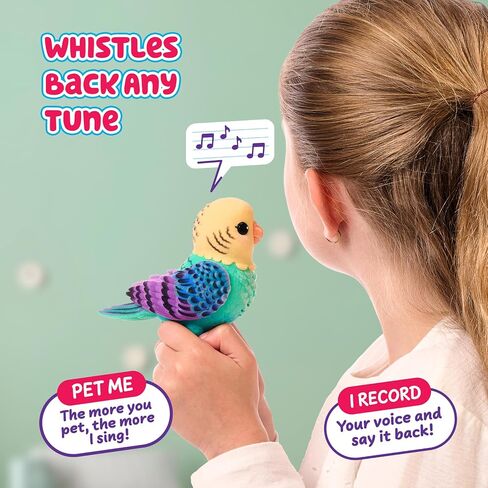 Little Live Pets My Real Talking Bird Toy & Cage - لعبة Indie ، لعبة تكرار الصوت التفاعلية ، أكثر من 20 صوتًا وردود فعل ، ألعاب الحديث للأطفال 5-7 in Saudi Arabia