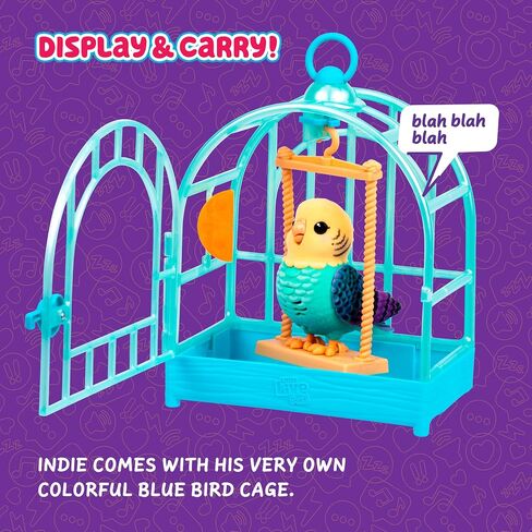 Little Live Pets My Real Talking Bird Toy & Cage - لعبة Indie ، لعبة تكرار الصوت التفاعلية ، أكثر من 20 صوتًا وردود فعل ، ألعاب الحديث للأطفال 5-7 in Saudi Arabia