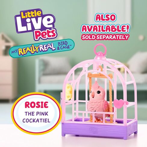 Little Live Pets My Real Talking Bird Toy & Cage - لعبة Indie ، لعبة تكرار الصوت التفاعلية ، أكثر من 20 صوتًا وردود فعل ، ألعاب الحديث للأطفال 5-7 in Saudi Arabia