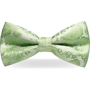 JEMYGINS Mens Pre-tied Paisley Bow Tie for Wedding Party Adjustable Bowties