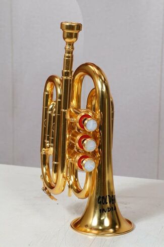 جيب البوق بلمسة نهائية ذهبية على شكل BB مع حقيبة صلبة وقطعة الفم in Kuwait