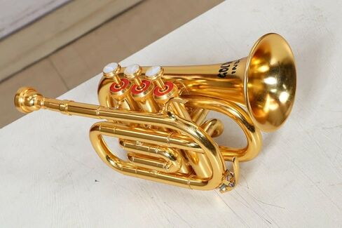 جيب البوق بلمسة نهائية ذهبية على شكل BB مع حقيبة صلبة وقطعة الفم in Kuwait