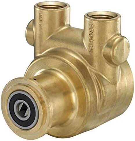 Procon 114B330F11XX Brass Rotary Vane Pump, 1/2" NPTF, 346 GPH in Kuwait