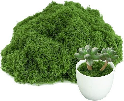 طحالب مزيفة للنباتات الداخلية ، الطحالب الاصطناعية للفنون والحرف ، عشب فو للحديقة الخيالية المحفوظة بوعاء صنع الجدران الحاويات الزجاجية ديكور المنزل 3.5 أوقية (أخضر داكن) in Saudi Arabia