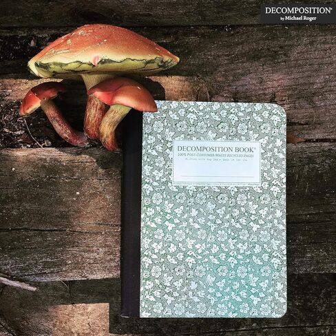 Decomposition Redwood Creek College Ruled Composition Notebook - 9.75 x 7.5 Journal with 160 Lined Pages - Notebooks for School Supplies, Home & Office - 100% Recycled Paper - Made in USA in Kuwait