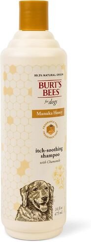 Burt’s Bees for Pets Itch Spray with Manuka Honey and Chamomile for Dogs - Naturally Derived Ingredients, Formulated Without Artificial Fragrances, Sulfates, Colorants, 10 Fl Oz in Saudi Arabia