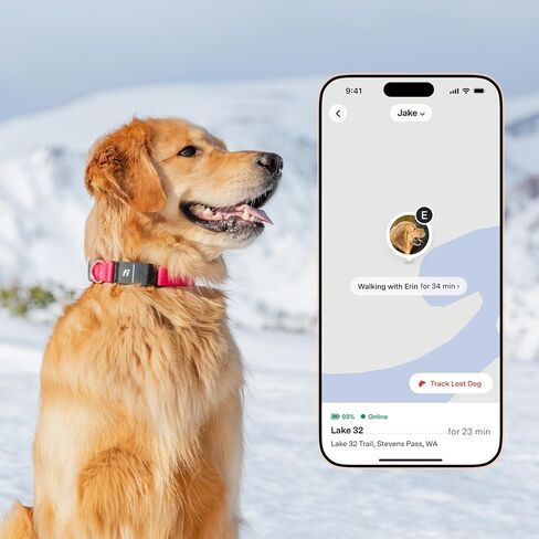 New Fi Series 3+ ذكية تتبع الكلاب تتبع - AI GPS للكلاب ، مراقبة الصحة والسلوك ، السياج الافتراضي ، تنبيهات الهروب ، مقاومة للماء ، عضوية 12mo متوافقة مع Apple Watch in Kuwait