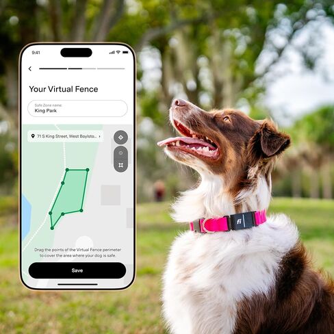 New Fi Series 3+ ذكية تتبع الكلاب تتبع - AI GPS للكلاب ، مراقبة الصحة والسلوك ، السياج الافتراضي ، تنبيهات الهروب ، مقاومة للماء ، عضوية 12mo متوافقة مع Apple Watch in Kuwait