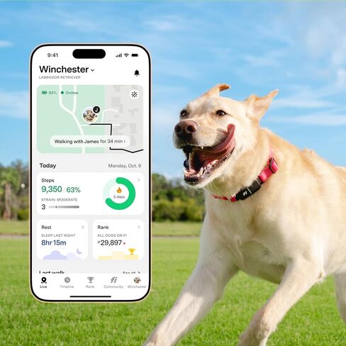 New Fi Series 3+ ذكية تتبع الكلاب تتبع - AI GPS للكلاب ، مراقبة الصحة والسلوك ، السياج الافتراضي ، تنبيهات الهروب ، مقاومة للماء ، عضوية 12mo متوافقة مع Apple Watch in Kuwait