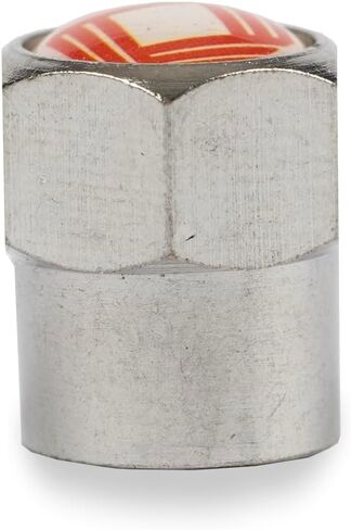 ABC Balancing Beads | Complete Tire, Wheel and Axle Assembly Balance for Off-Road Vehicles, Light/Medium Duty Truck Tires | DIY Kit with (4) 8oz Bags (32oz) Balancing Beads, (4) Valve Cores, (4) Caps in Saudi Arabia