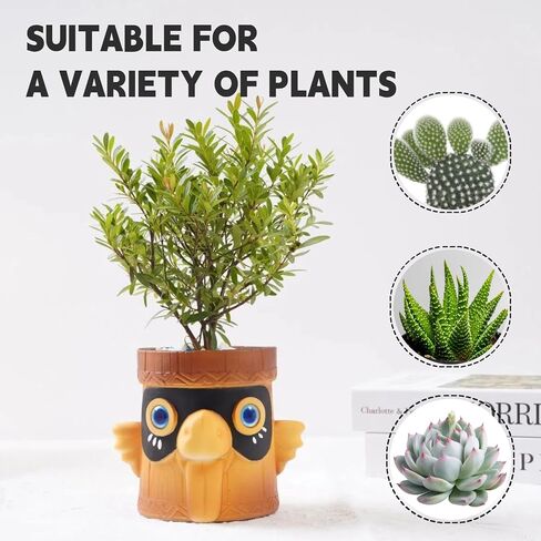 Bird Pen Holder and Succulent Planter,Cute pencil holder for kids, Funny Resin Home School Desktop Organizer Animal pen holder,Nice gift. in Saudi Arabia