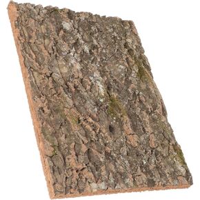 منصة تسلق الزواحف في Vicasky Natural Cork Bark Terrarium Decor for Lizards التنين الملتحي و Geckos آمن الخلفية. in Kuwait