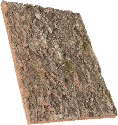 منصة تسلق الزواحف في Vicasky Natural Cork Bark Terrarium Decor for Lizards التنين الملتحي و Geckos آمن الخلفية. in Saudi Arabia
