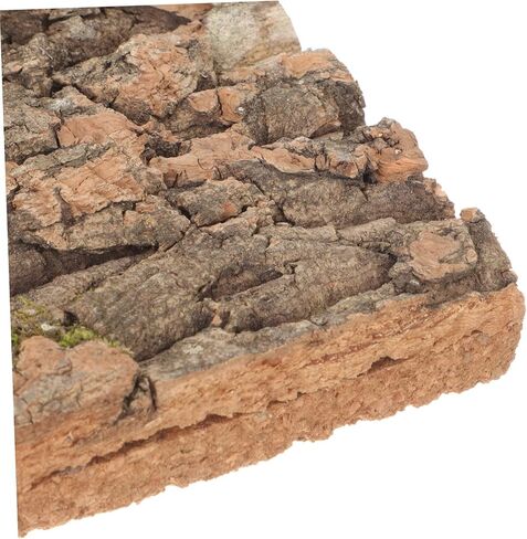 منصة تسلق الزواحف في Vicasky Natural Cork Bark Terrarium Decor for Lizards التنين الملتحي و Geckos آمن الخلفية. in Saudi Arabia