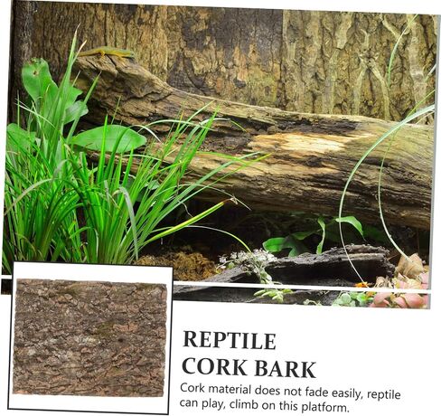 منصة تسلق الزواحف في Vicasky Natural Cork Bark Terrarium Decor for Lizards التنين الملتحي و Geckos آمن الخلفية. in Saudi Arabia