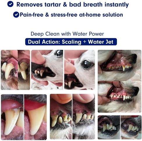 Canivet Silent Sonic Plaque & Tartar Remover للكلاب-منظف أسنان فائق الدقة مع Scaler ، ورؤوس فرشاة الأسنان ، ومياه مائية قابلة لإعادة الشحن ، وصغيرة وكبيرة. in Saudi Arabia