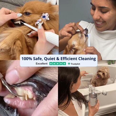 Canivet Silent Sonic Plaque & Tartar Remover للكلاب-منظف أسنان فائق الدقة مع Scaler ، ورؤوس فرشاة الأسنان ، ومياه مائية قابلة لإعادة الشحن ، وصغيرة وكبيرة. in Saudi Arabia