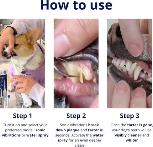 Canivet Silent Sonic Plaque & Tartar Remover للكلاب-منظف أسنان فائق الدقة مع Scaler ، ورؤوس فرشاة الأسنان ، ومياه مائية قابلة لإعادة الشحن ، وصغيرة وكبيرة. in Saudi Arabia