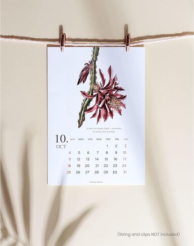 2026 Botanical Calendar Gift Box – Watercolor Floral Desk Calendar with Wooden Easel, Floral Notebook, Inspirational Pen – Made in USA – Holiday New Year Gifts for Women, Nature & Flower Lovers in Kuwait