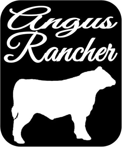 Angus Rancher Bull Decal 6 "Sticker OS 270 Cattle Cow Aberdeen Beef in Saudi Arabia
